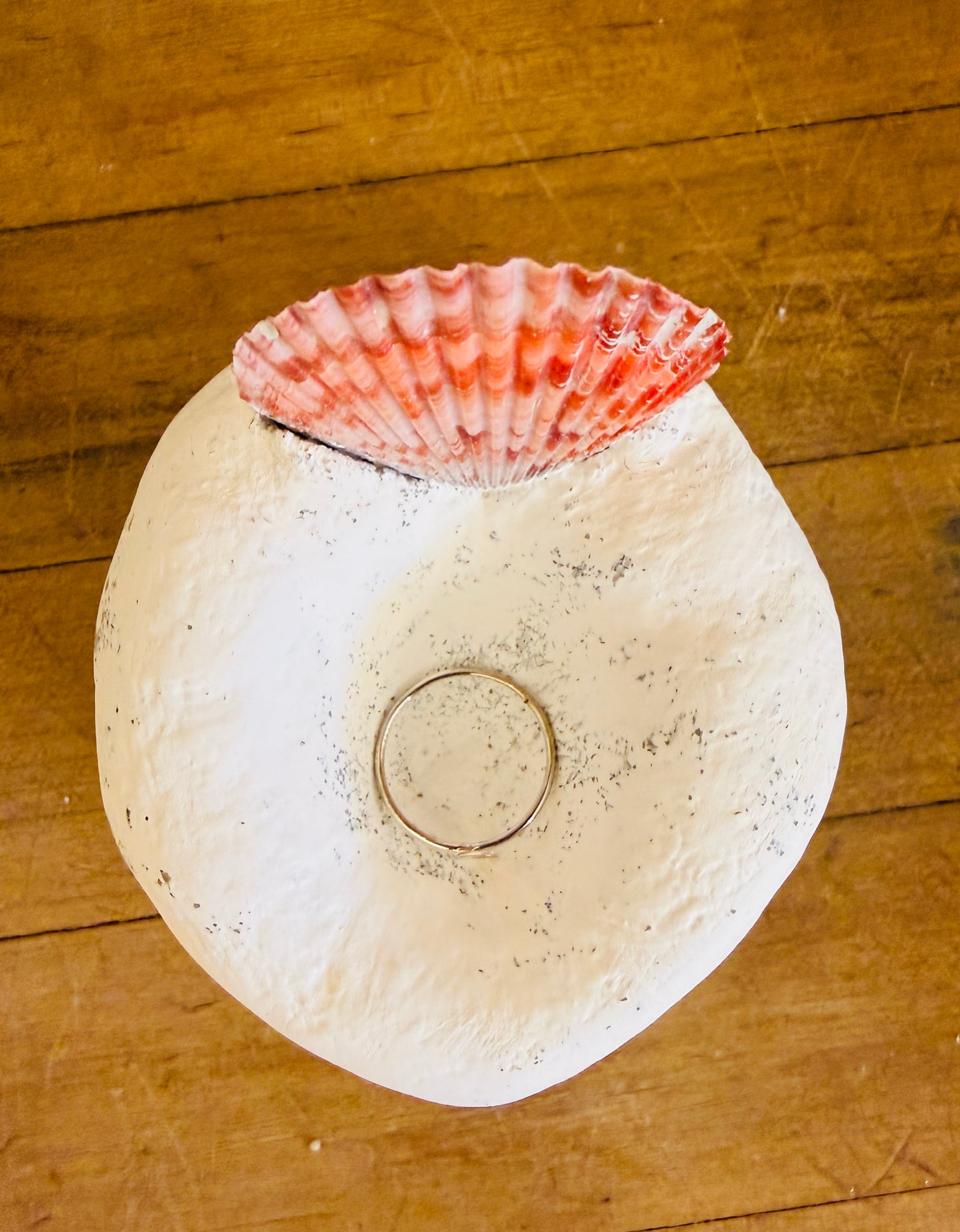 Scallop Sea Shell Concrete Ring Dish