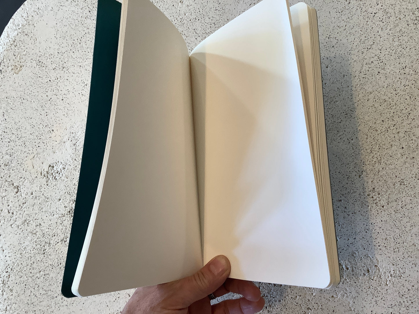 Snake Sketch Notebook