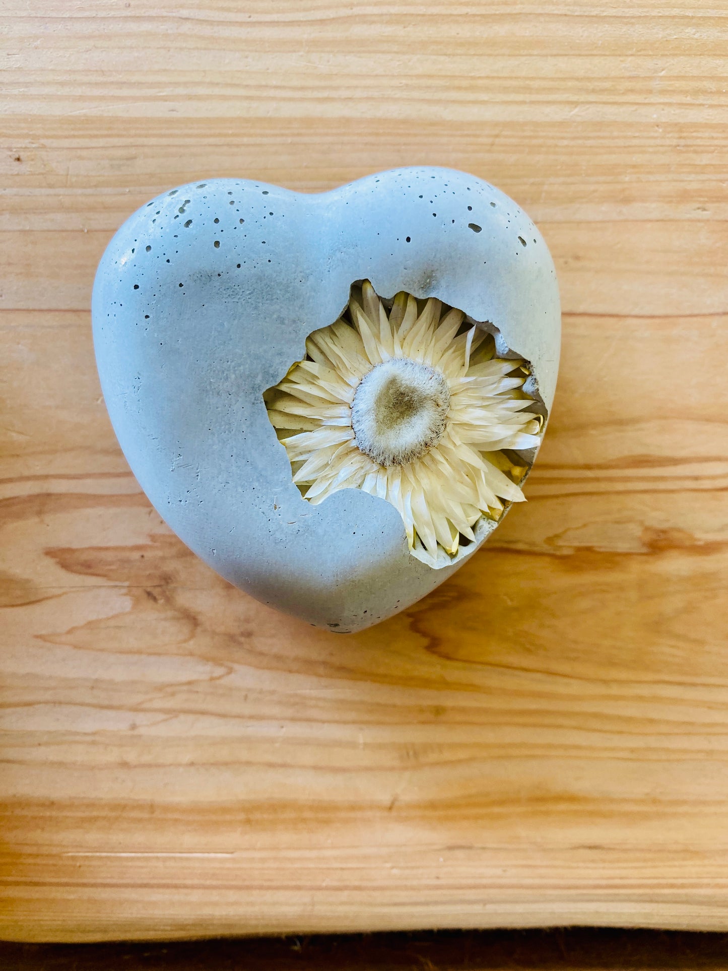 Petrified White Flower Heart