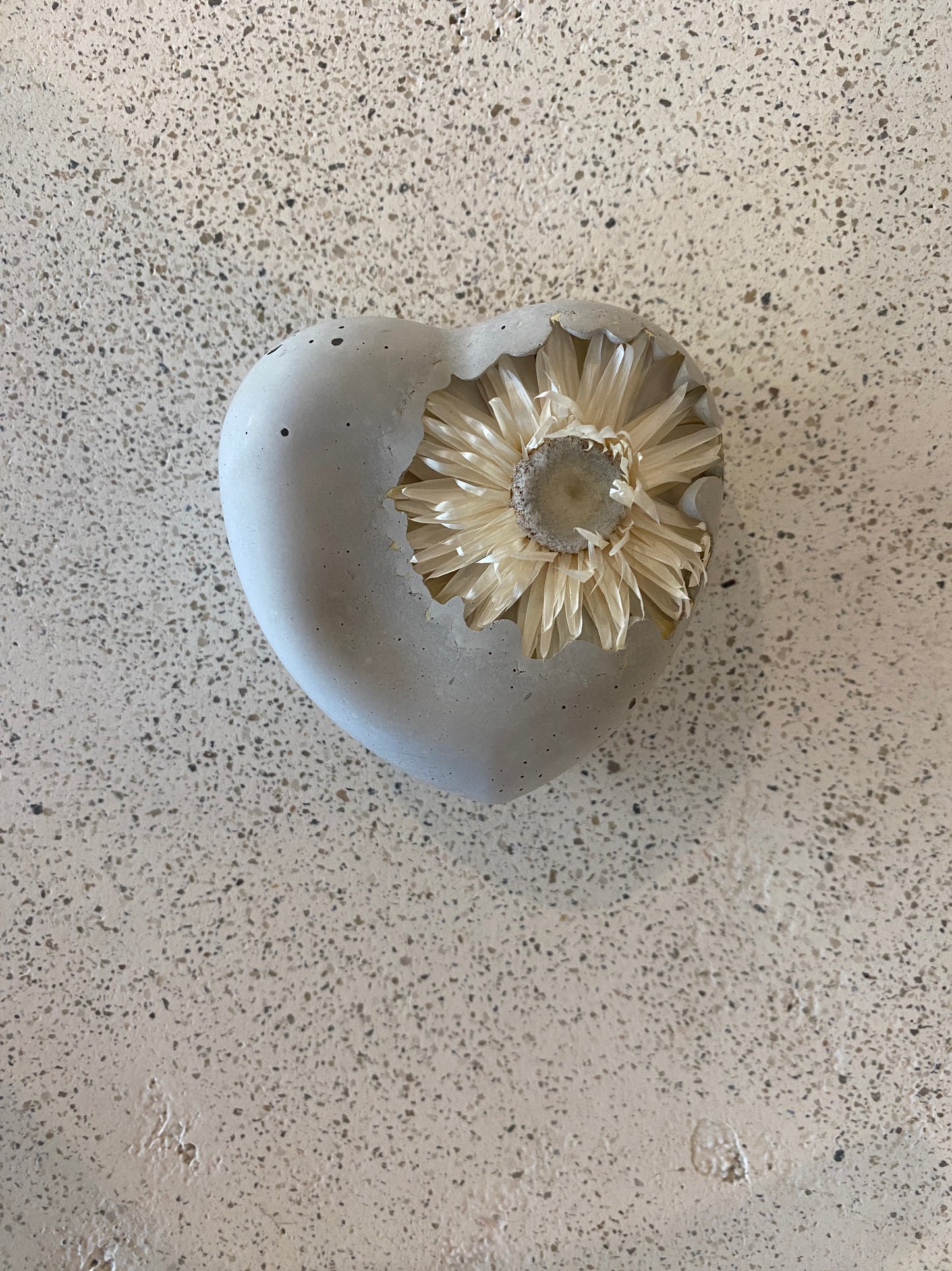 Petrified White Flower Heart