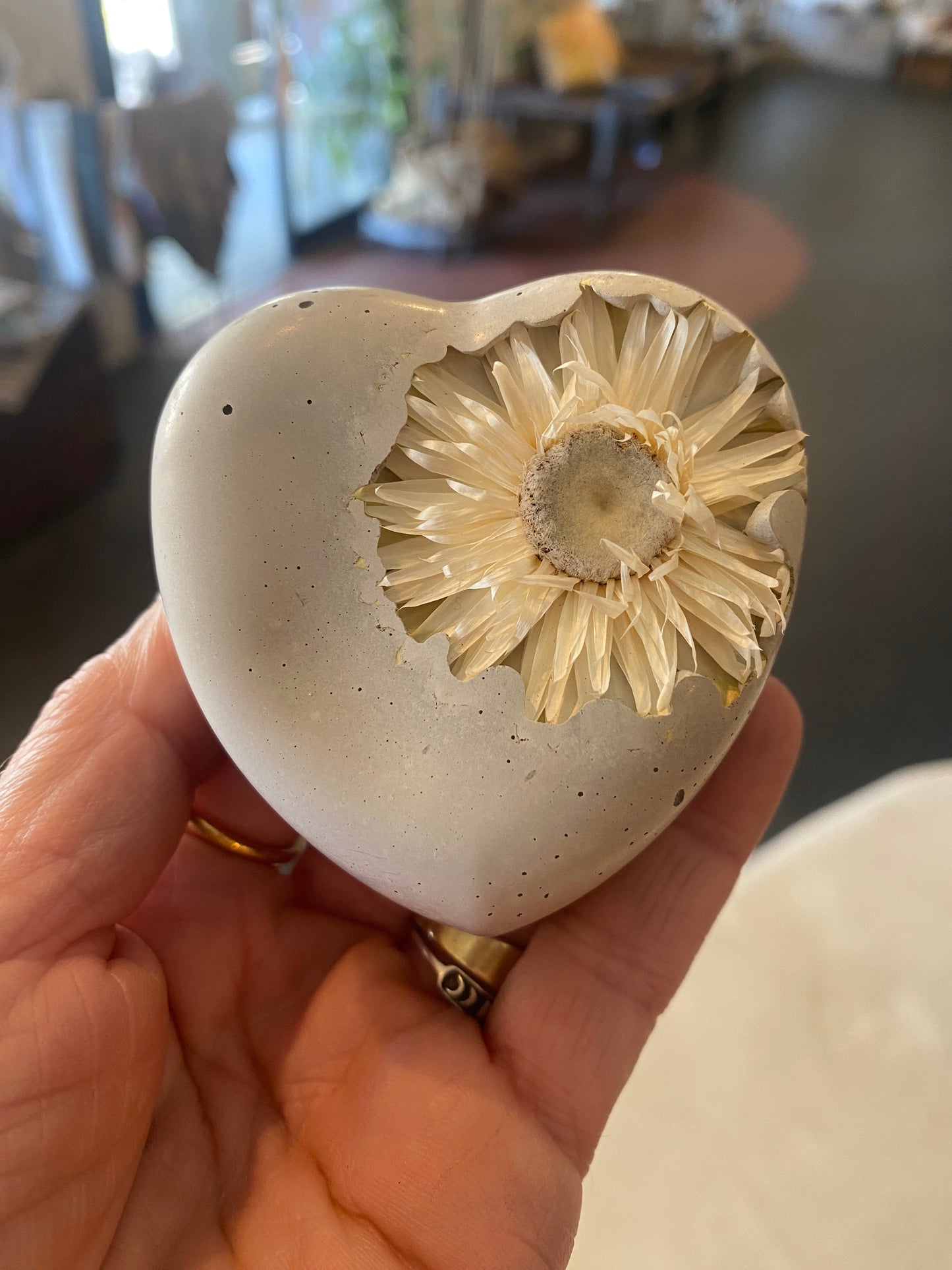 Petrified White Flower Heart
