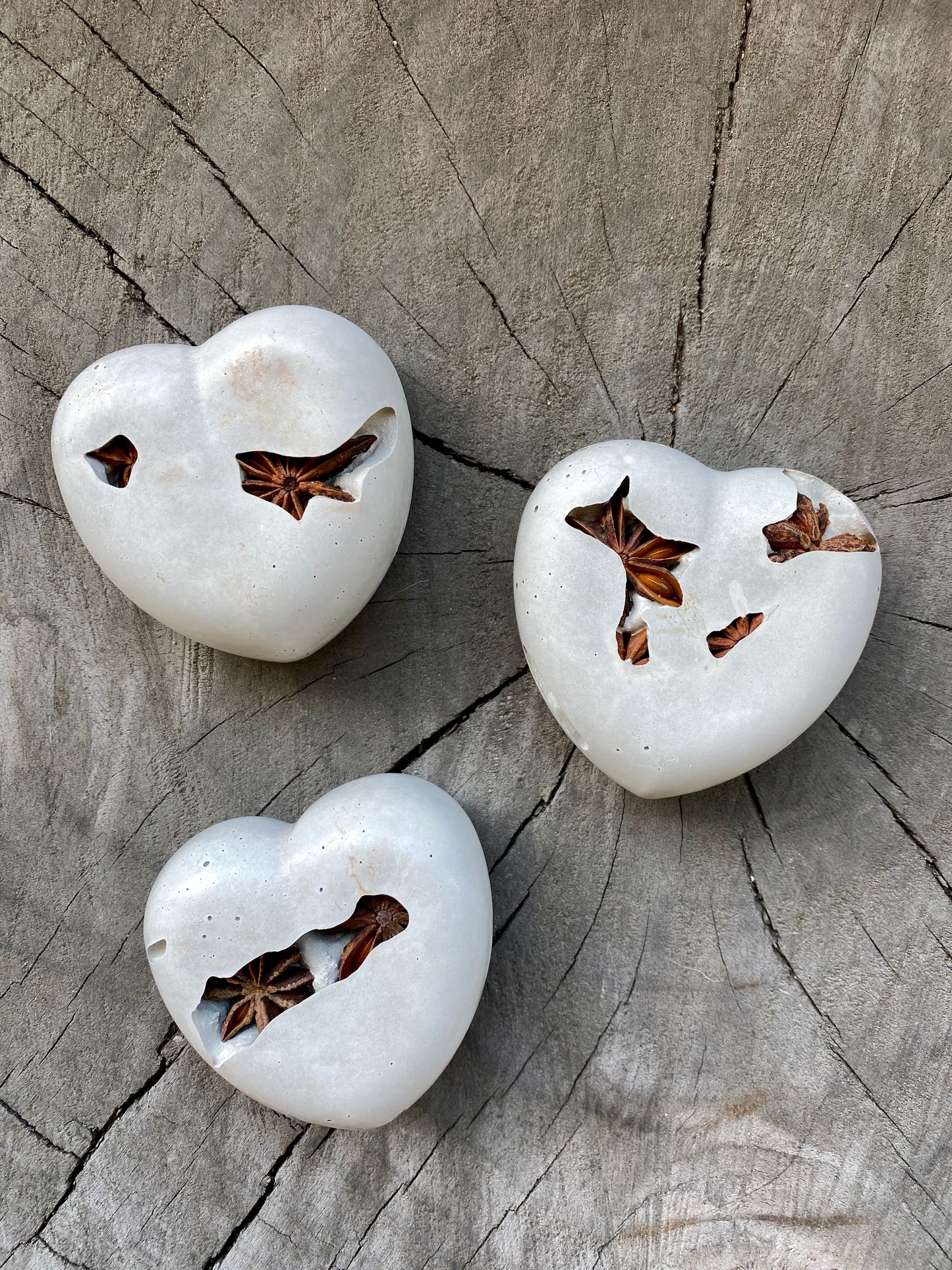 Star Anise Concrete Heart