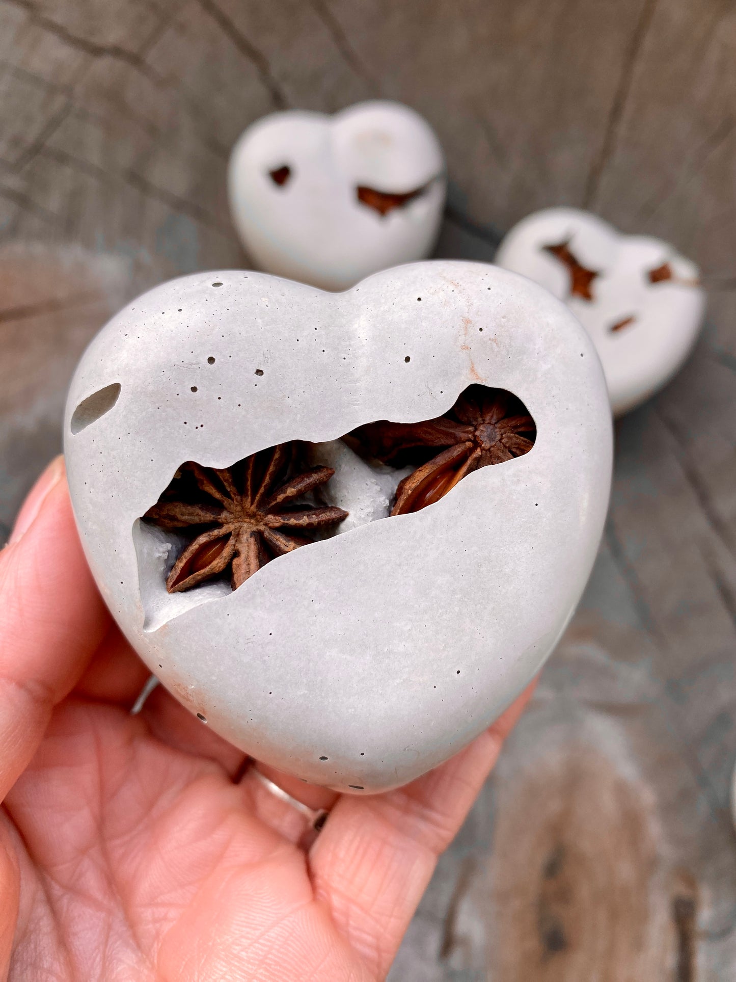 Star Anise Concrete Heart