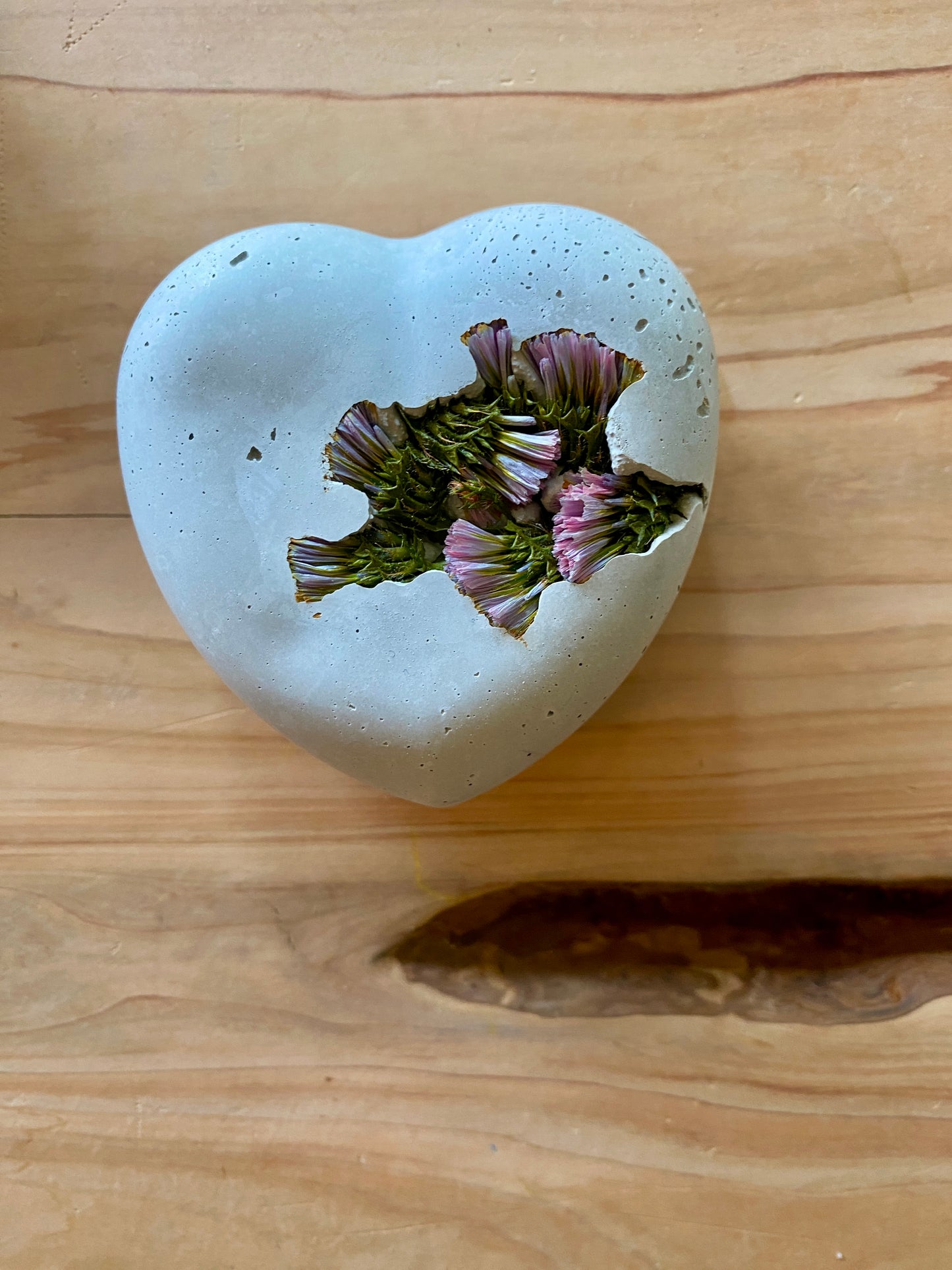 Petrified Pink Statice Concrete Heart