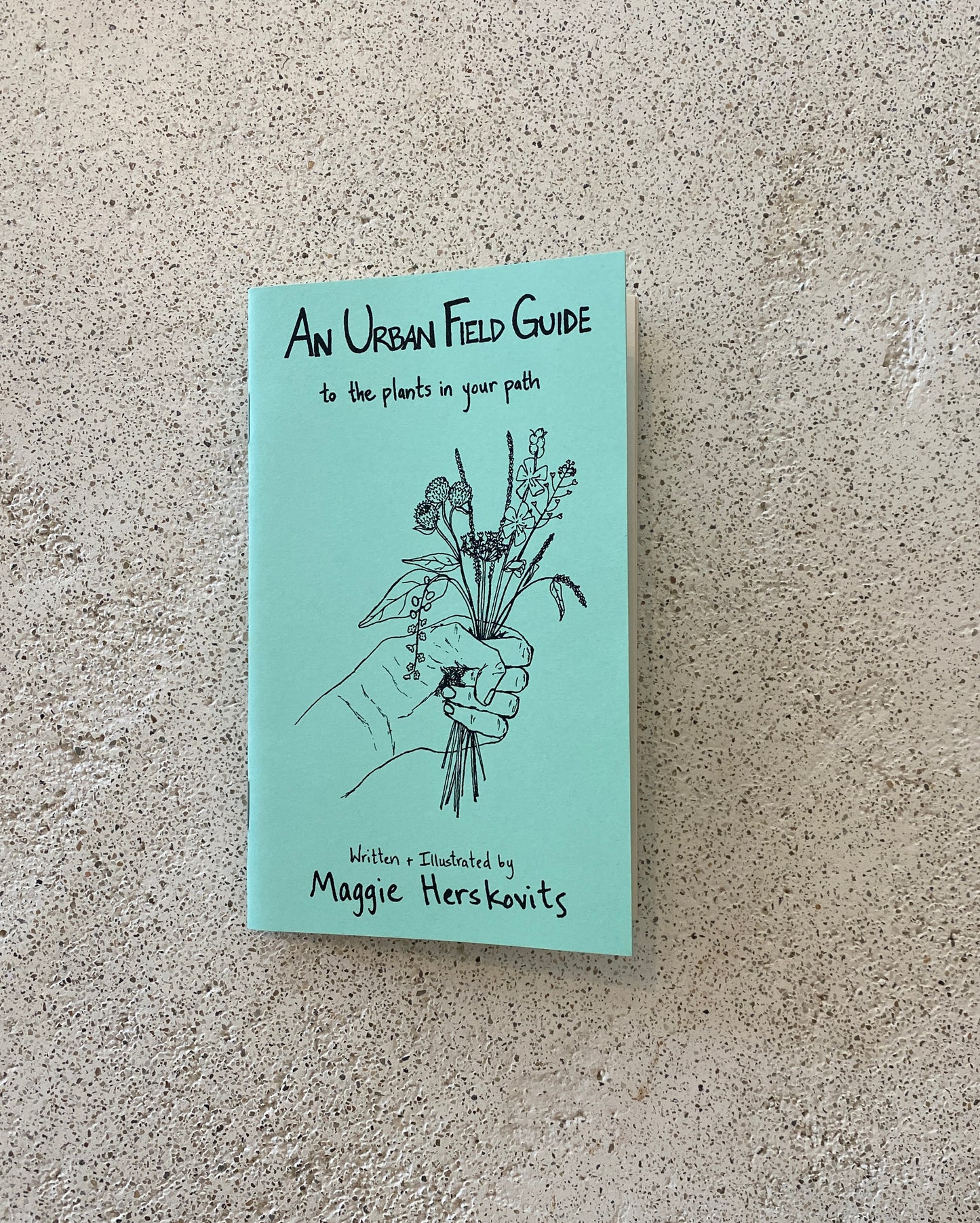 An Urban Field Guide to the Plants in Your Path Book