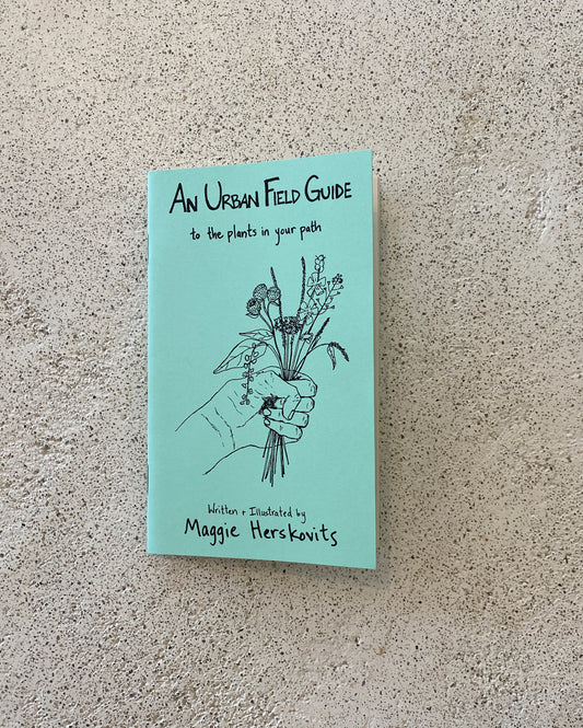An Urban Field Guide to the Plants in Your Path Book