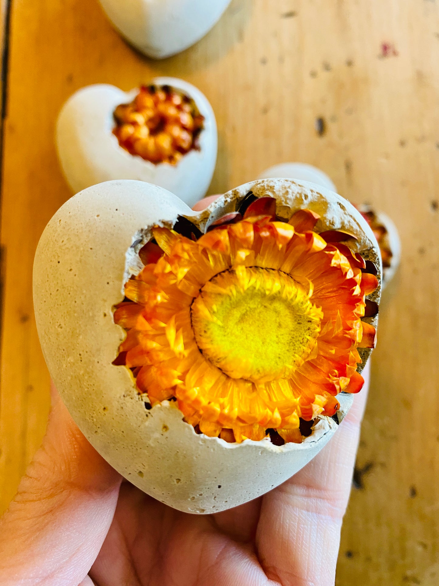 Petrified Orange Strawflower Heart