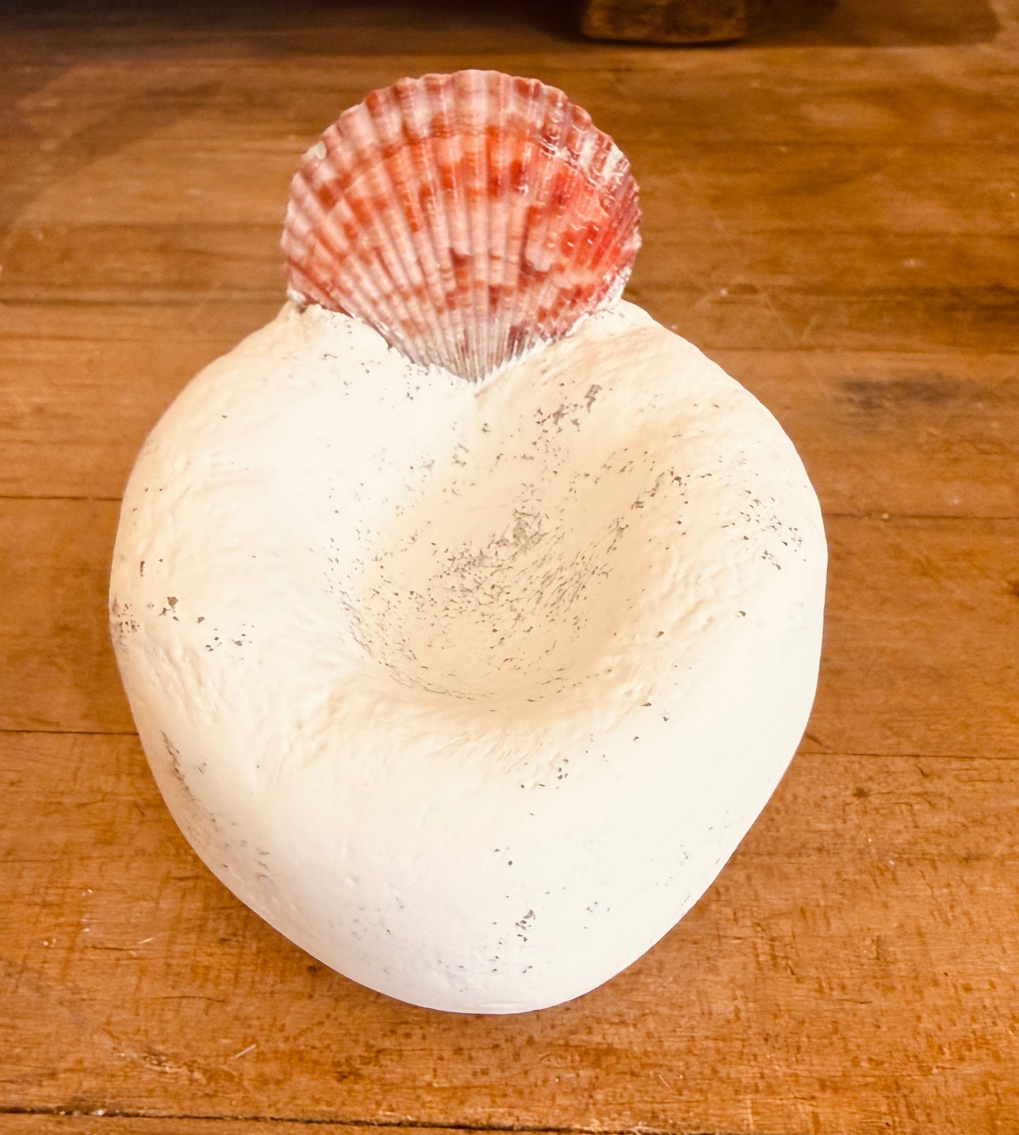 Scallop Sea Shell Concrete Ring Dish