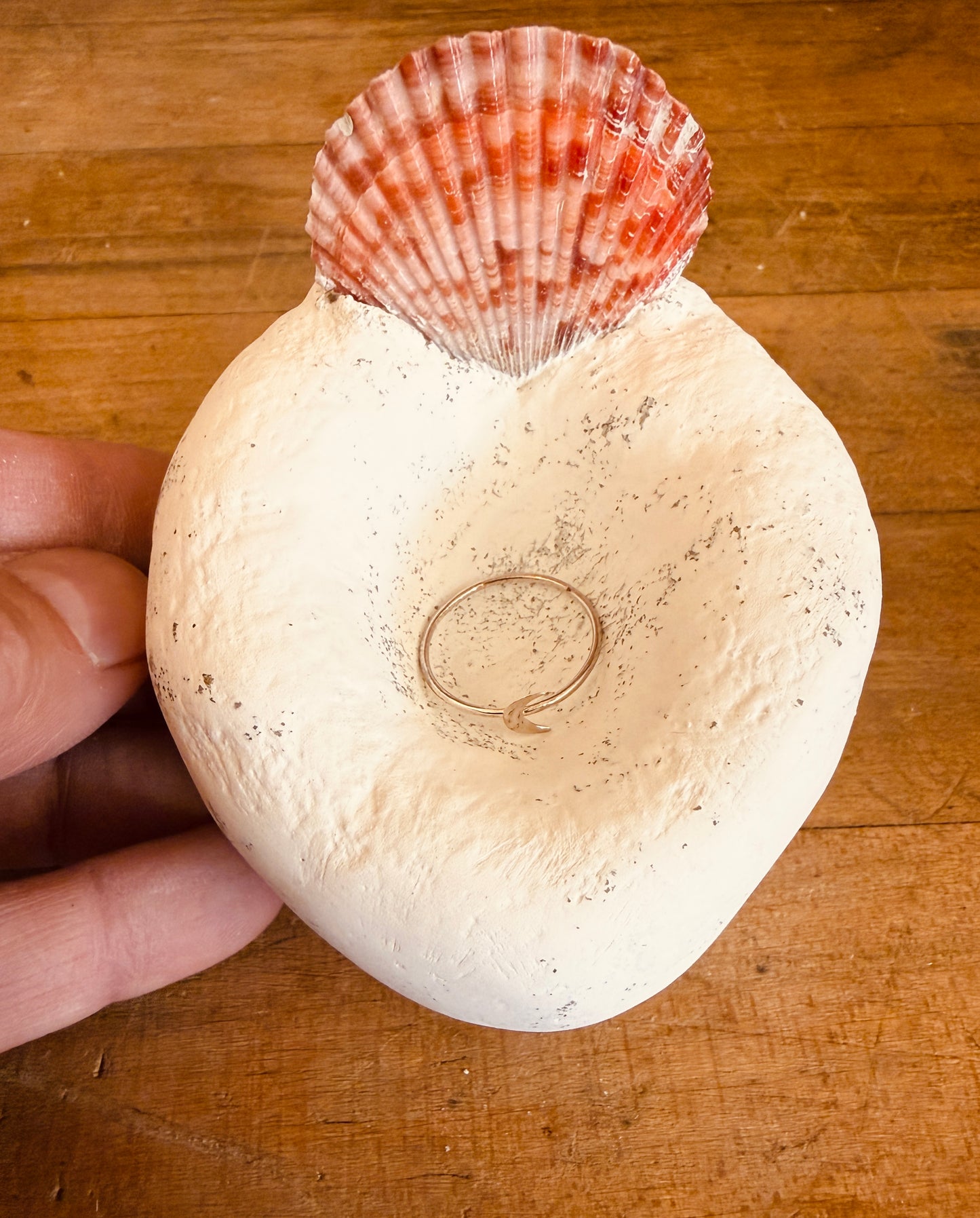 Scallop Sea Shell Concrete Ring Dish