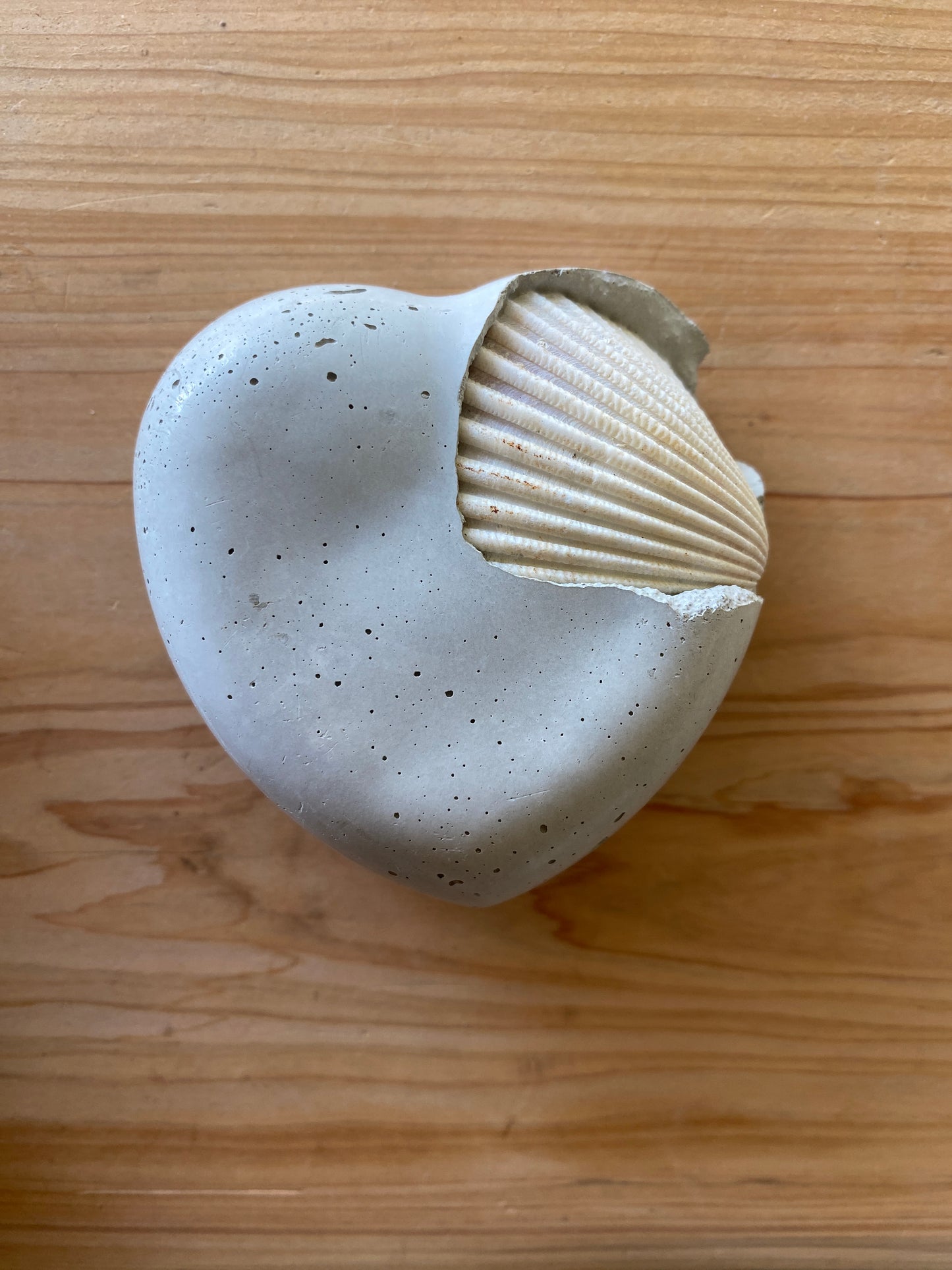 Seashell Concrete Heart 03
