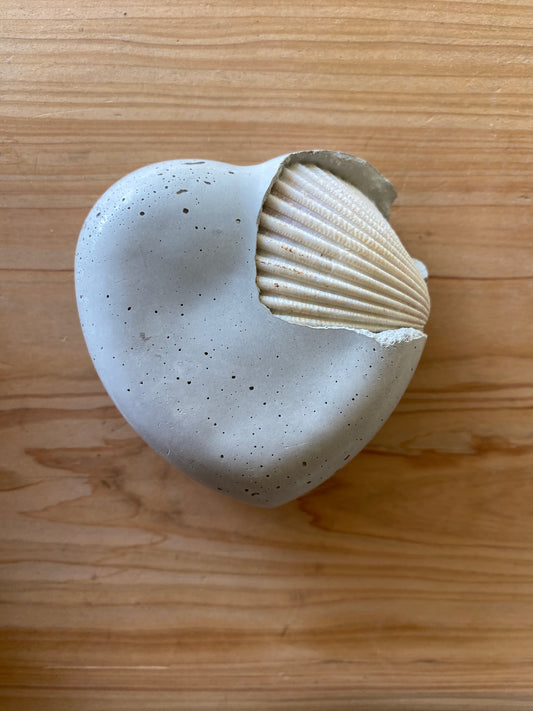 Seashell Concrete Heart 03