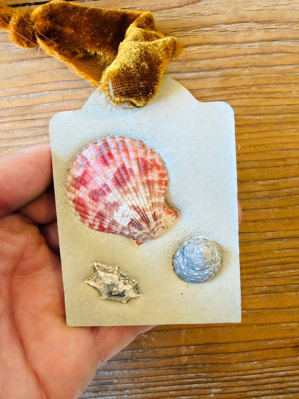 Concrete Seashell Ornament with Velvet Ribbon - Shell