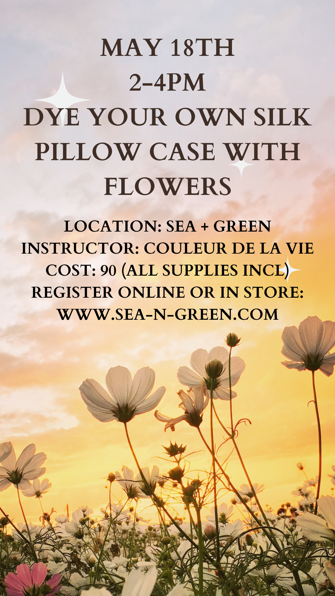 Dye Your Own Silk Pillow Case with Plants Workshop Class 5/18/2024  Saturday  2-4 pm