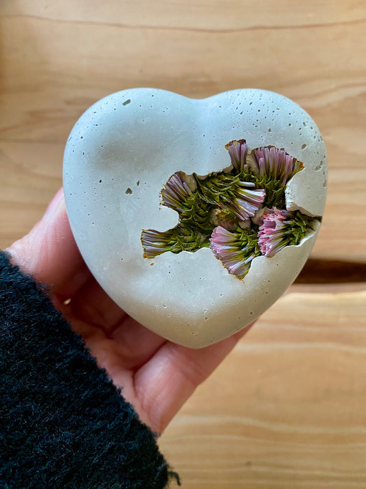 Petrified Pink Statice Concrete Heart