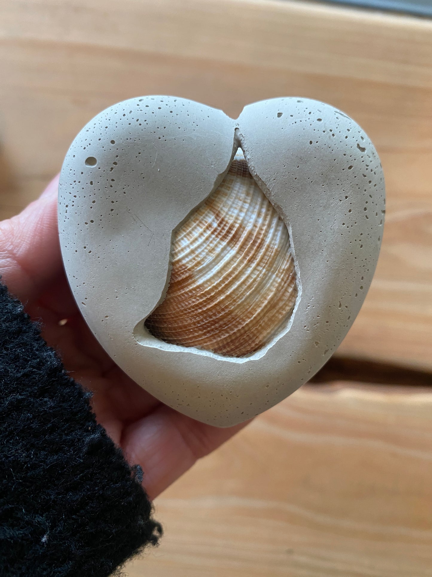 Seashell Concrete Heart 02