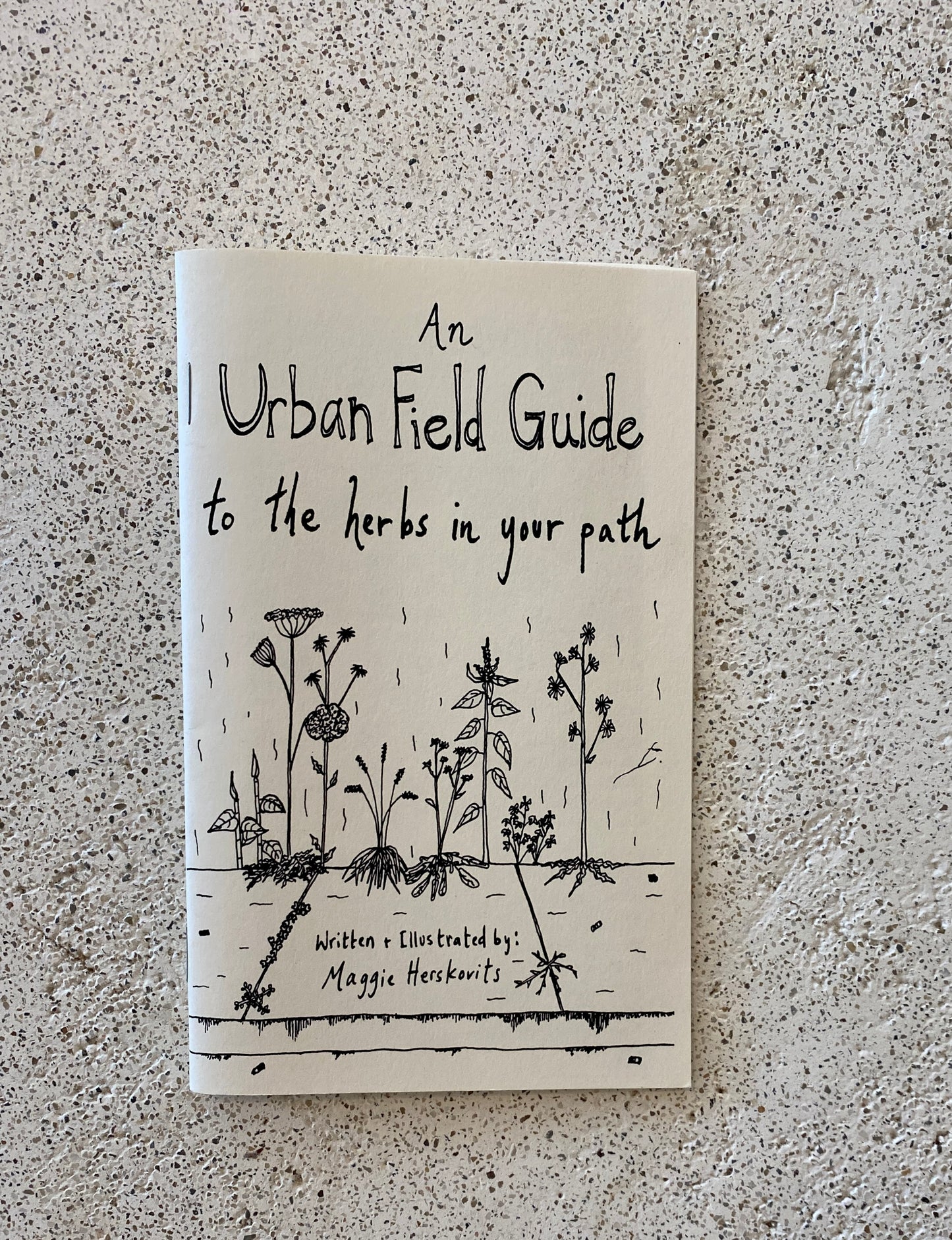 An Urban Field Guide to the Herbs in Your Path Book
