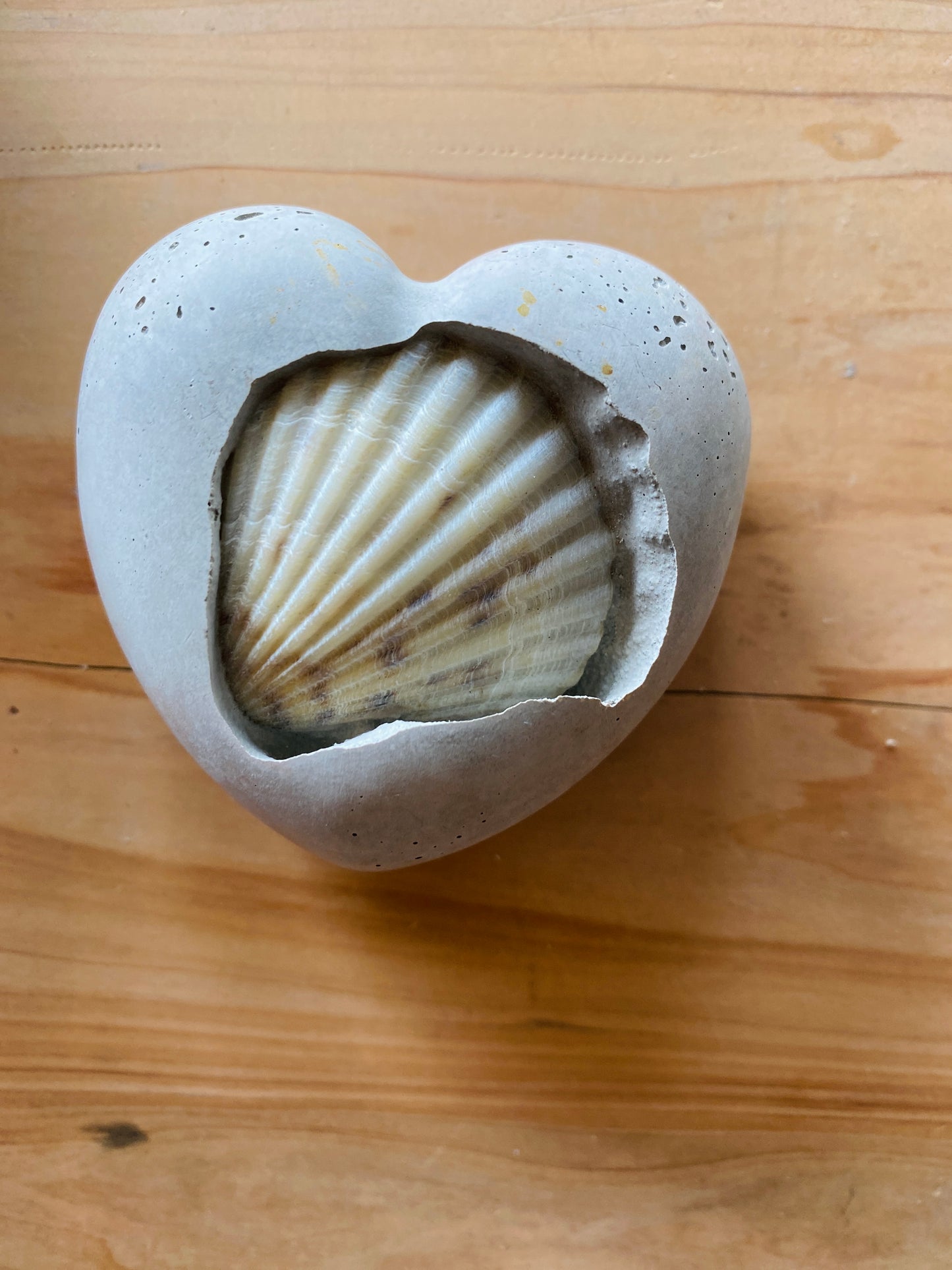 Seashell Concrete Heart 03