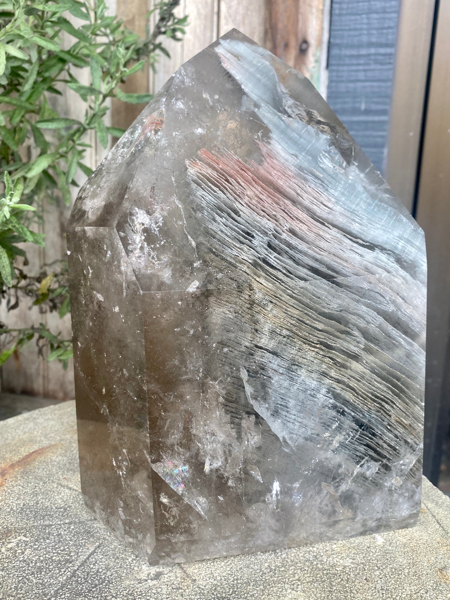 Extra Large Point Lodolite Quartz