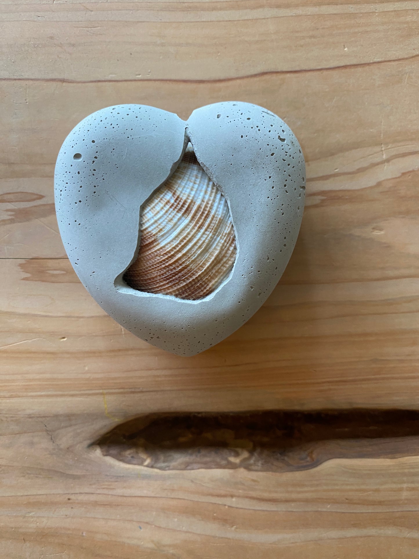 Seashell Concrete Heart 02