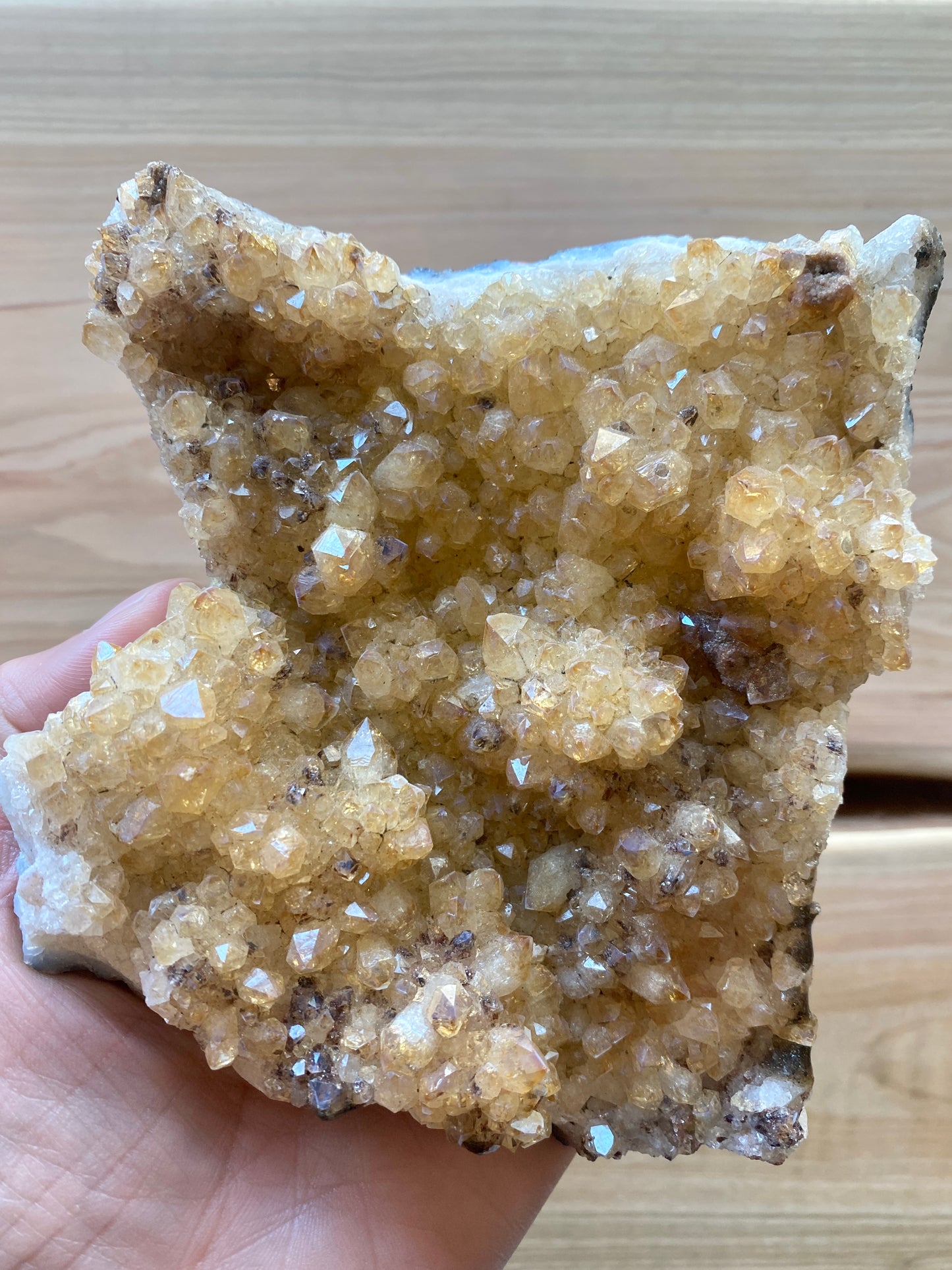 Sparkly Citrine Large Druzy