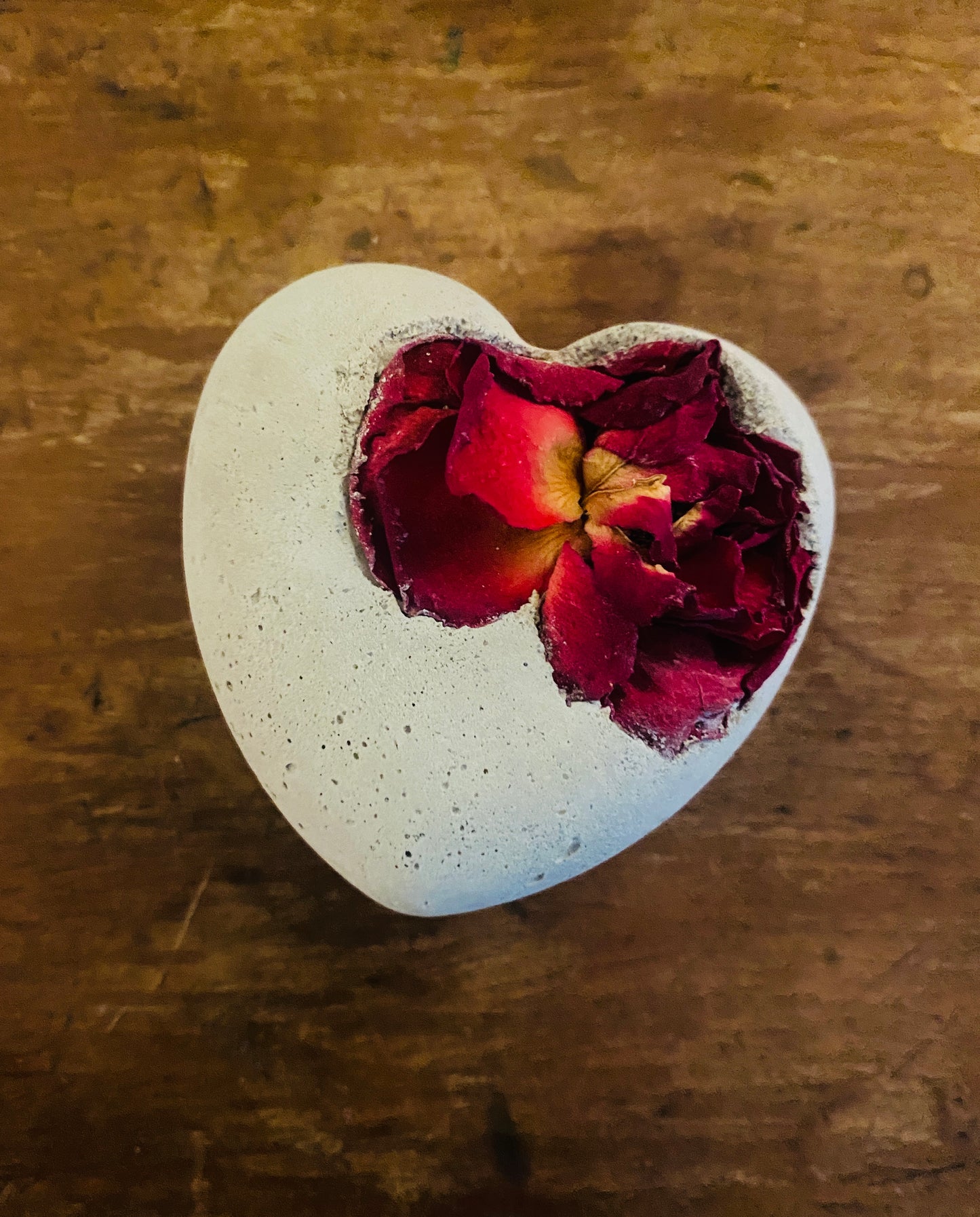 Petrified Dried Red Rose Love Valentine Heart