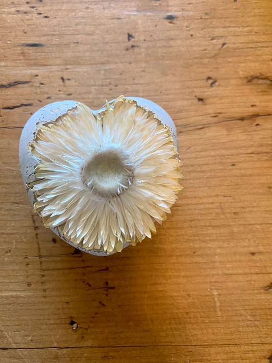 Petrified White Flower Heart