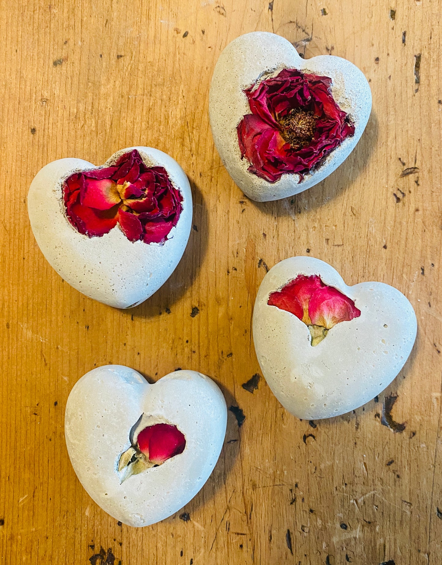 Petrified Dried Red Rose Love Valentine Heart