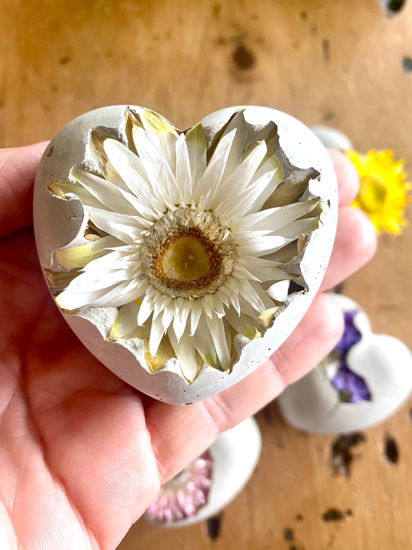 Half Dozen Mix of Various Petrified Concrete Floral Hearts